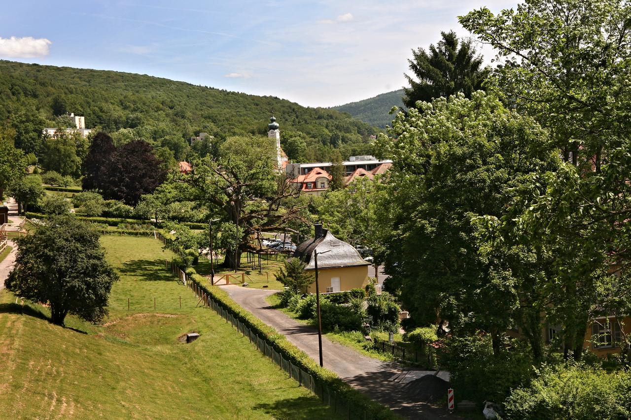 Rhoen Hotel Waldcafe St. Georg Staatsbad Brückenau Dış mekan fotoğraf